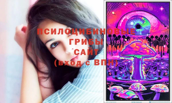 МДПВ Абдулино