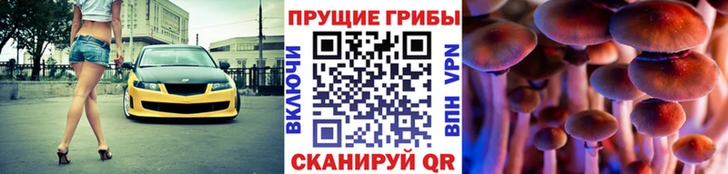 нарко площадка официальный сайт Екатеринбург Галлюциногенные грибы мухоморы